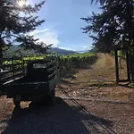 Buonasera Greve in Chianti