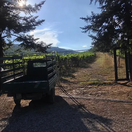 Buonasera Greve in Chianti